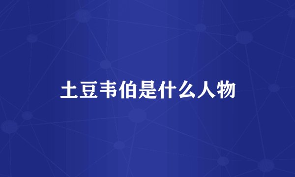 土豆韦伯是什么人物