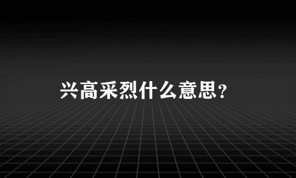 兴高采烈什么意思？