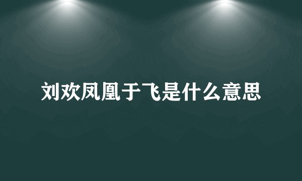 刘欢凤凰于飞是什么意思