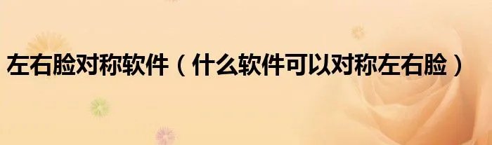 左右脸对称软件（什么软件可以对称左右脸）