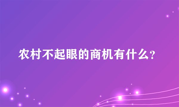 农村不起眼的商机有什么？