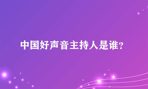 中国好声音主持人是谁？