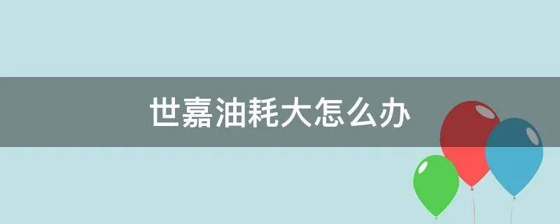 世嘉油耗大怎么办