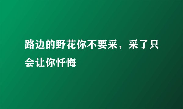 路边的野花你不要采，采了只会让你忏悔