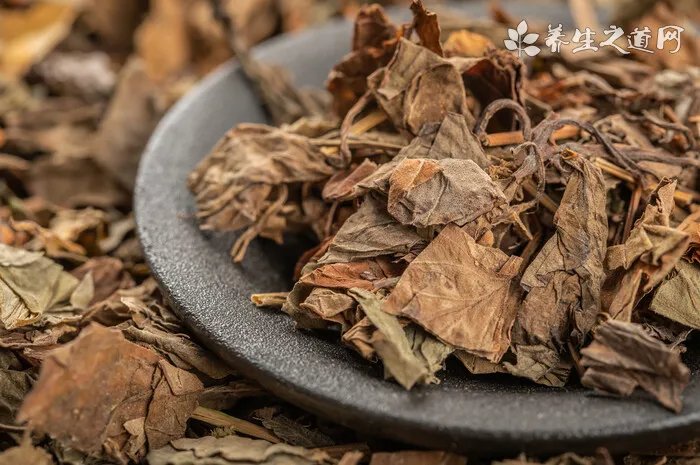 狗狗安乐死过程痛吗 狗安乐死有一些什么方法