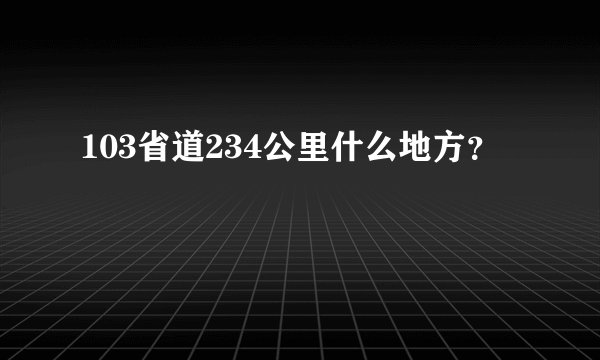 103省道234公里什么地方？