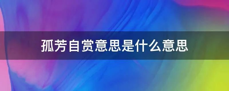 孤芳自赏意思是什么意思