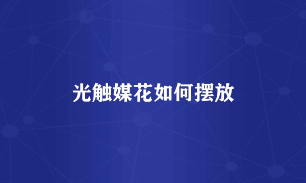 光触媒花如何摆放