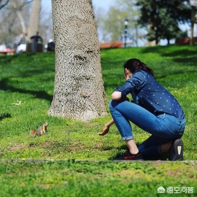 朱婷微博晒休假旅行照,评论区巴西球迷用国旗示爱,你怎么看?