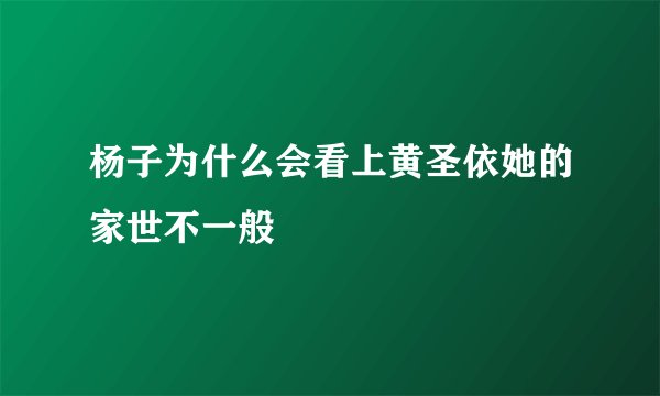杨子为什么会看上黄圣依她的家世不一般