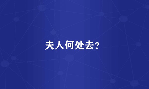 夫人何处去？