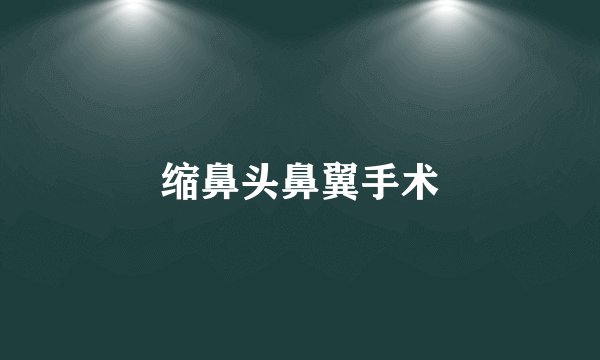 缩鼻头鼻翼手术
