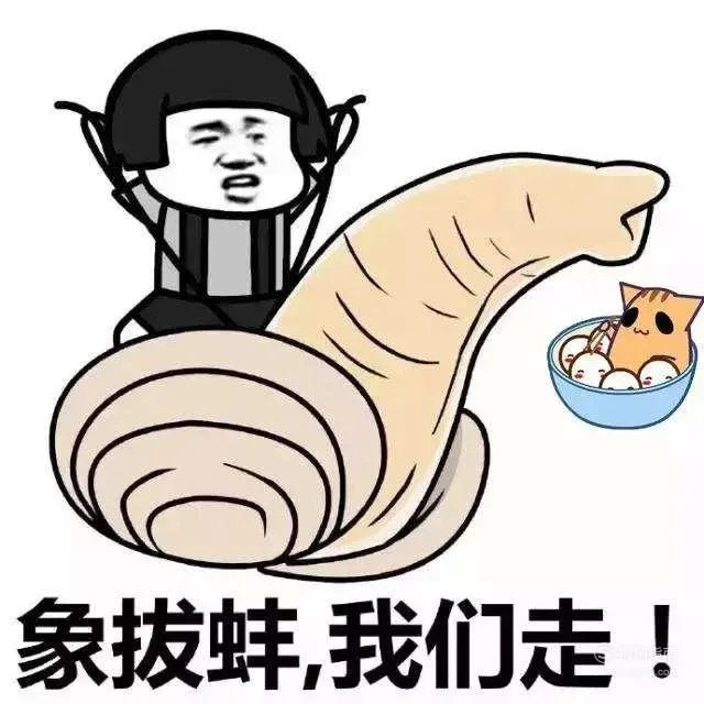 象拔蚌什么梗?
