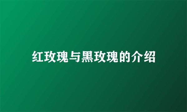 红玫瑰与黑玫瑰的介绍