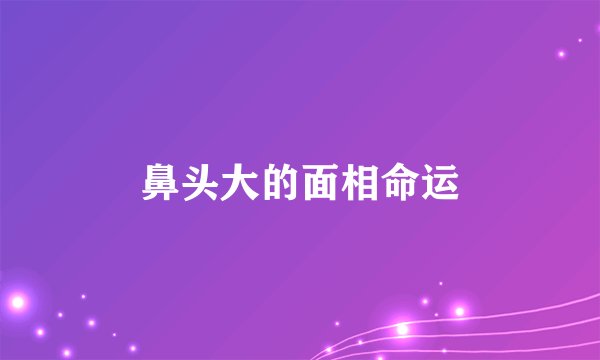鼻头大的面相命运