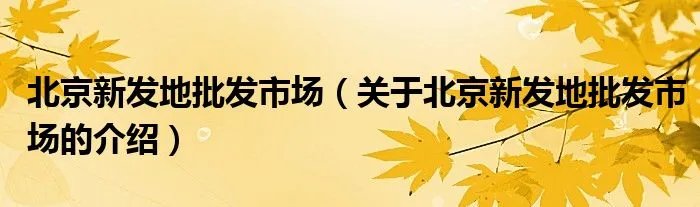 北京新发地批发市场（关于北京新发地批发市场的介绍）