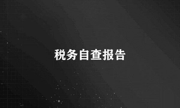 税务自查报告