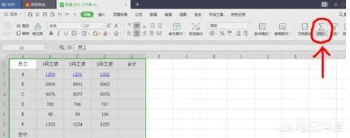 在excel中如何求和?