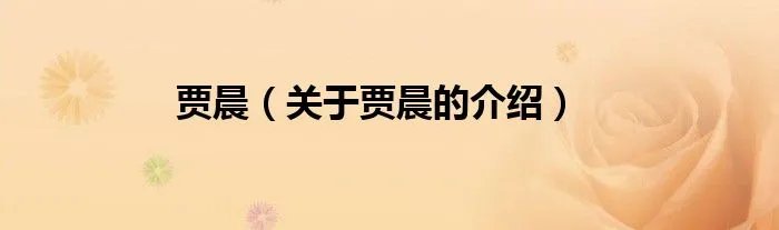 贾晨（关于贾晨的介绍）