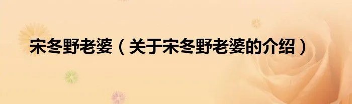 宋冬野老婆（关于宋冬野老婆的介绍）