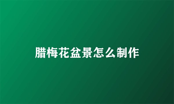 腊梅花盆景怎么制作