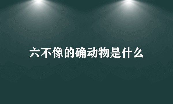 六不像的确动物是什么
