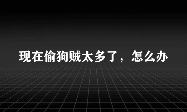 现在偷狗贼太多了，怎么办