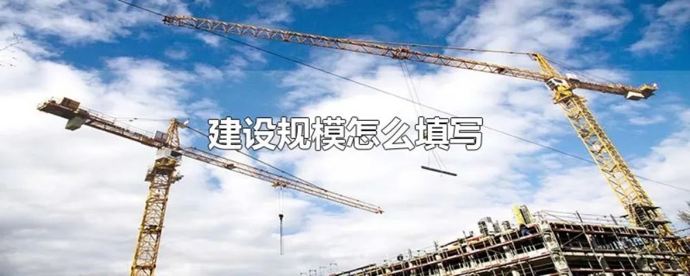 建设规模怎么填写
