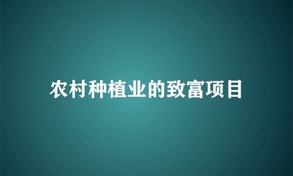 农村种植业的致富项目