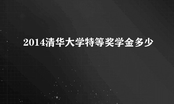 2014清华大学特等奖学金多少