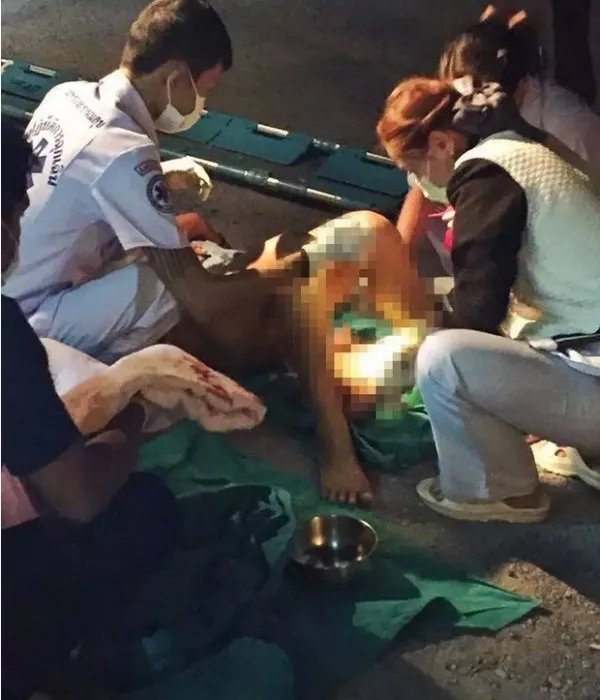 路上生子丈夫接生是怎么回事?