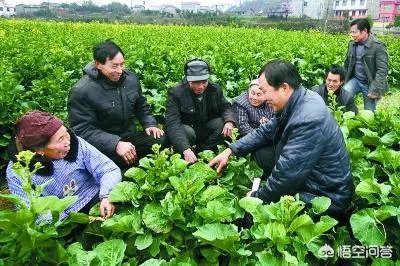 农业技术员前途如何？急？