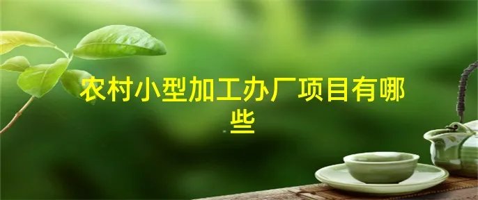 农村小型加工办厂项目有哪些