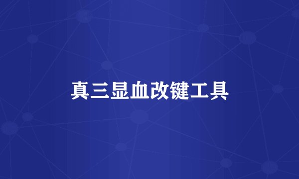 真三显血改键工具