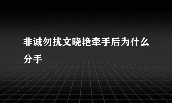 非诚勿扰文晓艳牵手后为什么分手