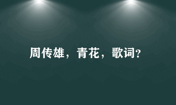 周传雄，青花，歌词？