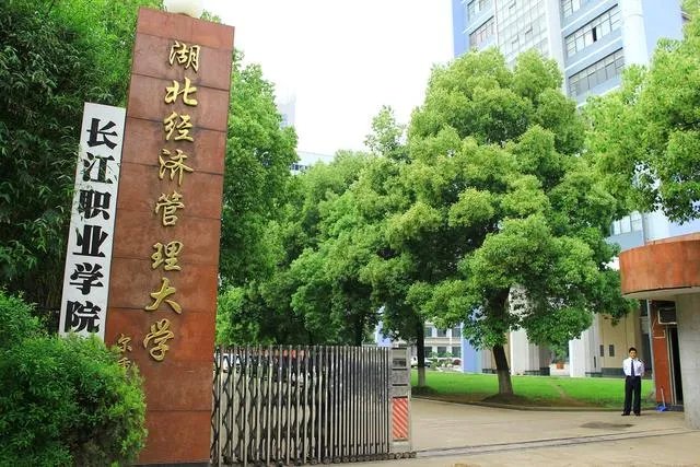 武汉长江职业学院全国专科排名第几？