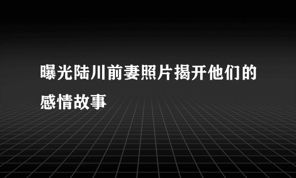曝光陆川前妻照片揭开他们的感情故事