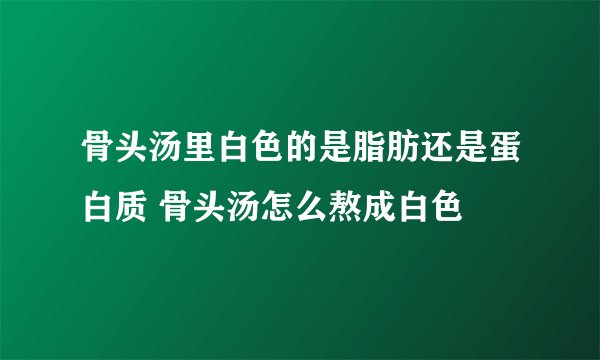 骨头汤里白色的是脂肪还是蛋白质 骨头汤怎么熬成白色