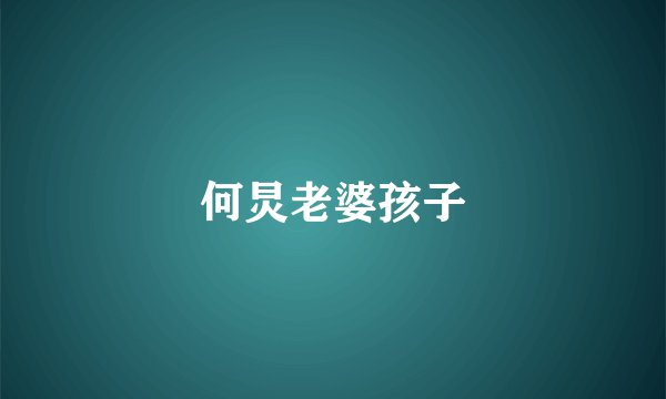 何炅老婆孩子