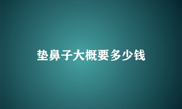 垫鼻子大概要多少钱