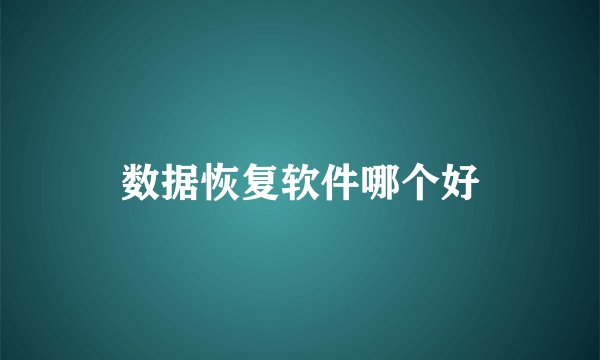 数据恢复软件哪个好