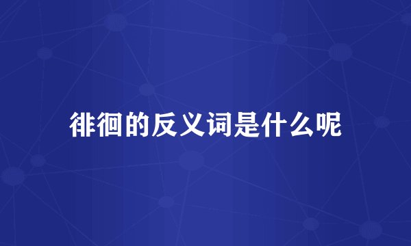 徘徊的反义词是什么呢