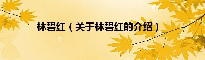 林碧红（关于林碧红的介绍）