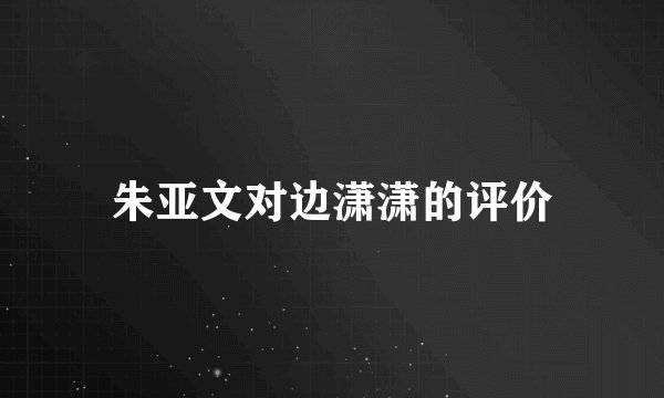 朱亚文对边潇潇的评价