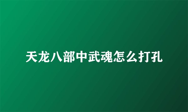 天龙八部中武魂怎么打孔