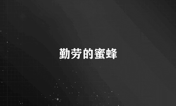 勤劳的蜜蜂
