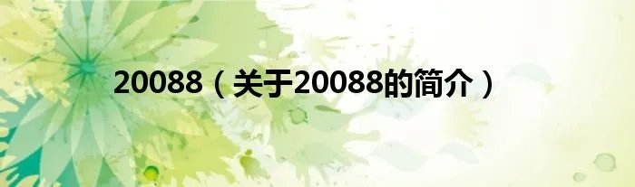 20088（关于20088的简介）