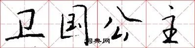 卫国公主