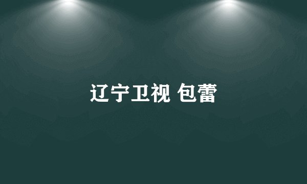 辽宁卫视 包蕾